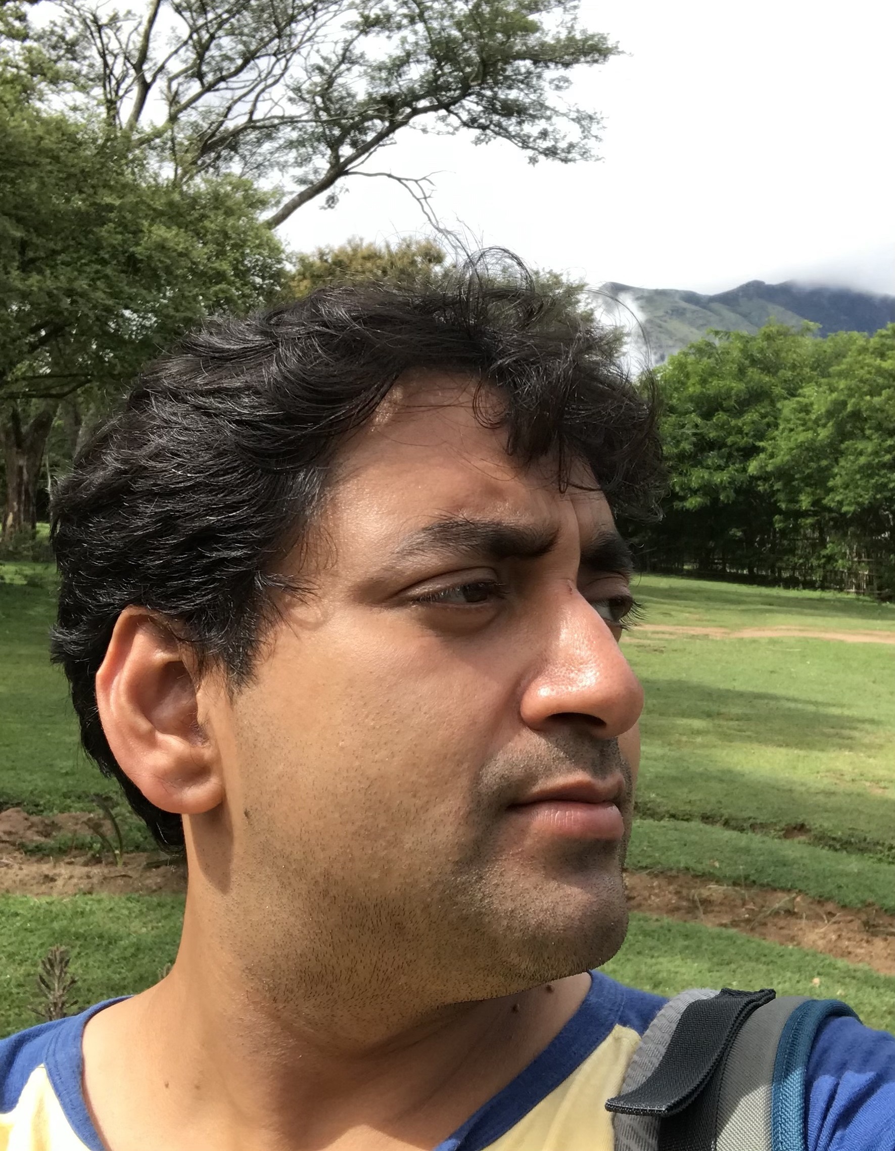 Parthanil Roy